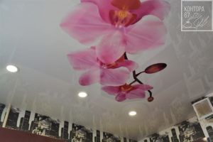 Натяжные потолки в Смоленской области (Ярцево, Сафоново, Дорогобуж, Верхнеднепровск, Вязьма, Гагарин)