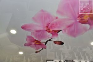Натяжные потолки в Смоленской области (Ярцево, Сафоново, Дорогобуж, Верхнеднепровск, Вязьма, Гагарин)